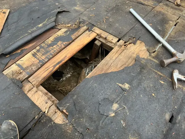【雨漏りしたらどうすればいい？】の記事写真